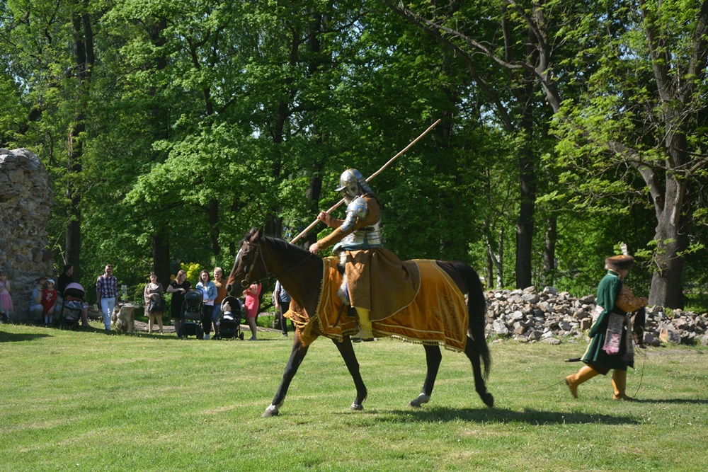 Wydarzenie w ruinach Zamku Rudzkiego 35