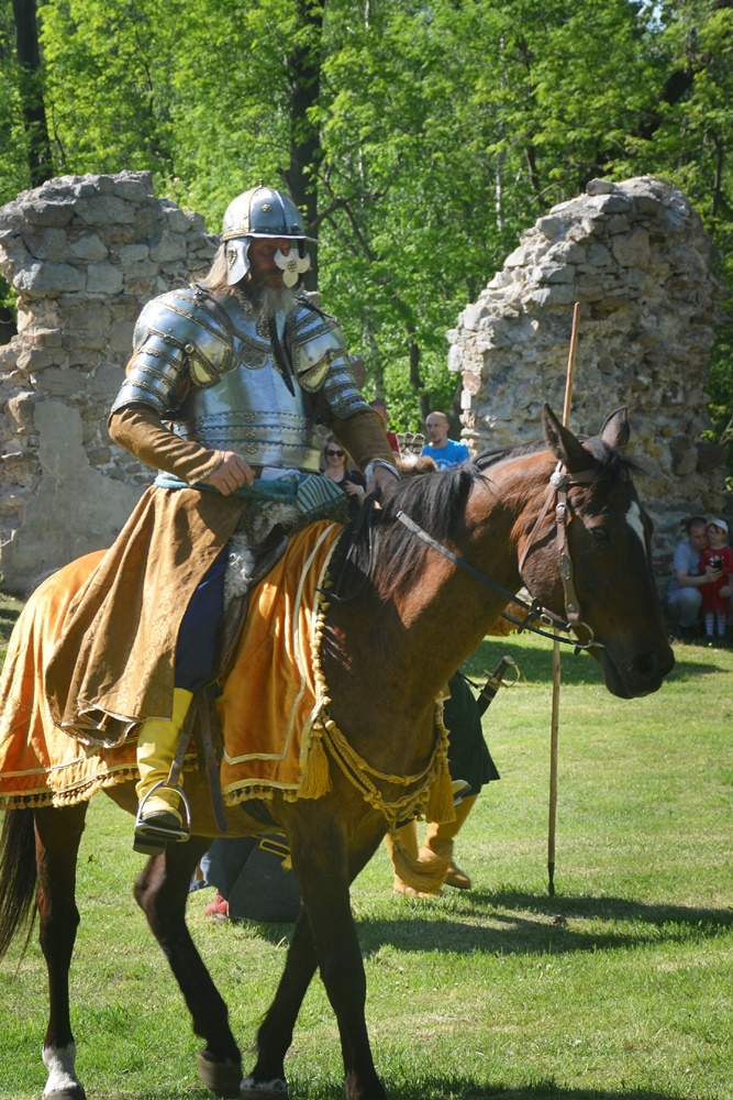 Wydarzenie w ruinach Zamku Rudzkiego 36