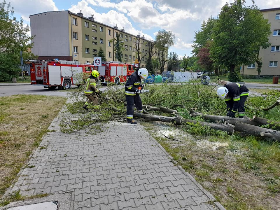 Silny wiatr w Rudzie Śląskiej. Wiele interwencji Straży Pożarnej
