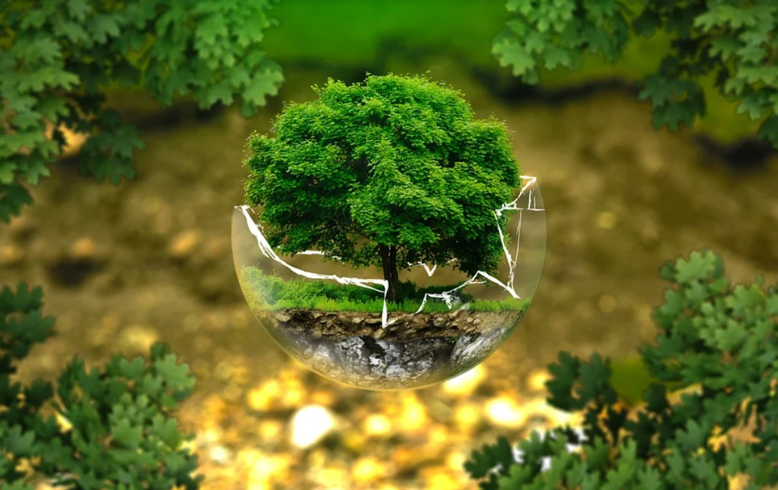 Posprzątaj z wikingami tereny wokół stawu "Cegielnia"