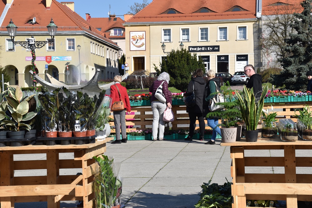 W sobotę zrób zakupy na Ekobazarze i Kwiatobazarze