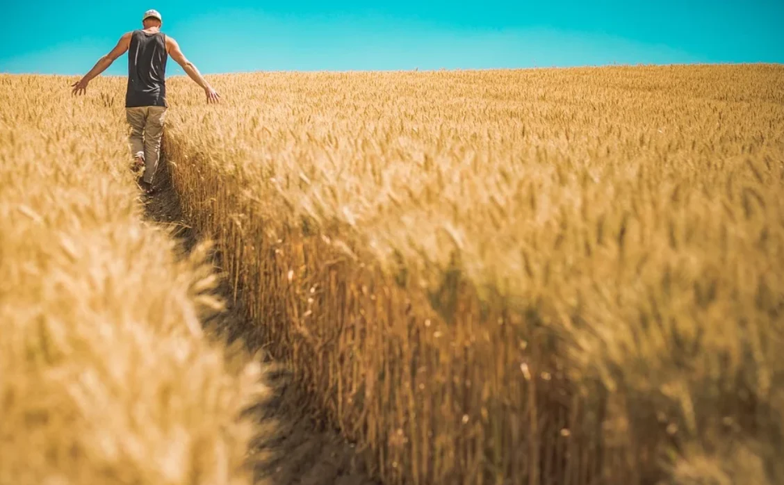 60 tys. zł na restrukturyzację małego gospodarstwa – ruszył nabór wniosków