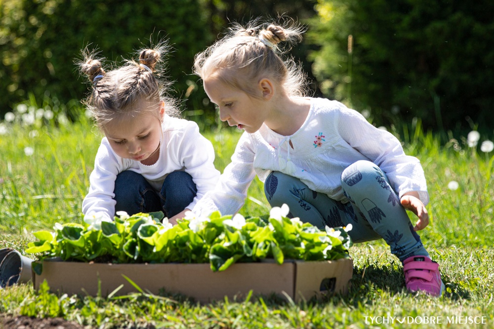 W dowód wdzięczności - ukraińskie kobiety posadziły kwiaty w Parku Miejskim Solidarności