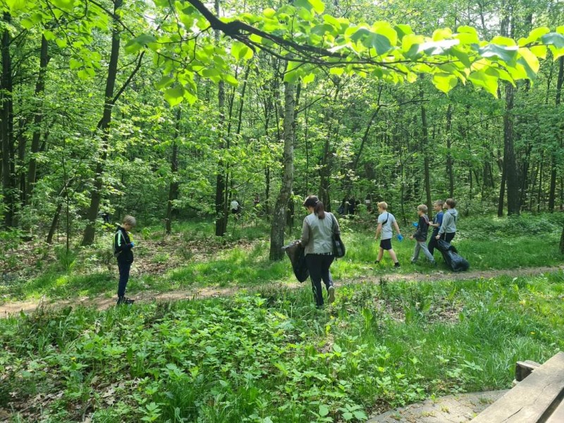 Lasek Bytkowski posprzątany