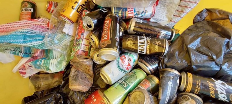 Lasek Bytkowski posprzątany