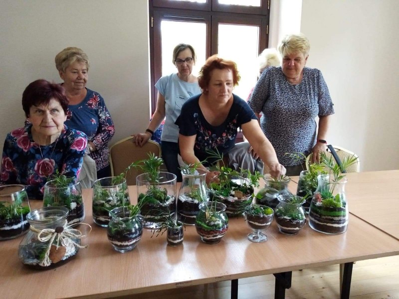 Seniorki z Michałkowic 60 + tworzą ogród zamknięty w szkle