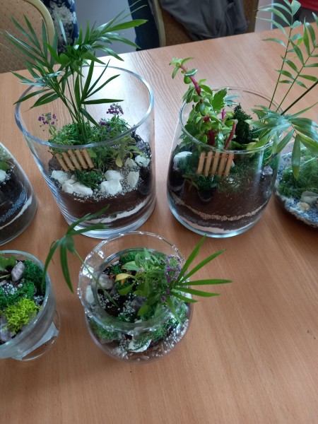 Seniorki z Michałkowic 60 + tworzą ogród zamknięty w szkle