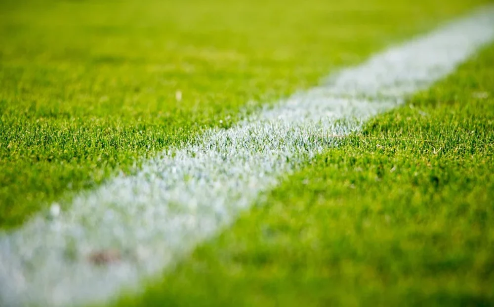 Zajęcia ruchowe dla osób 55+ na kompleksie boisk sportowych "Moje boisko - Orlik 2012"