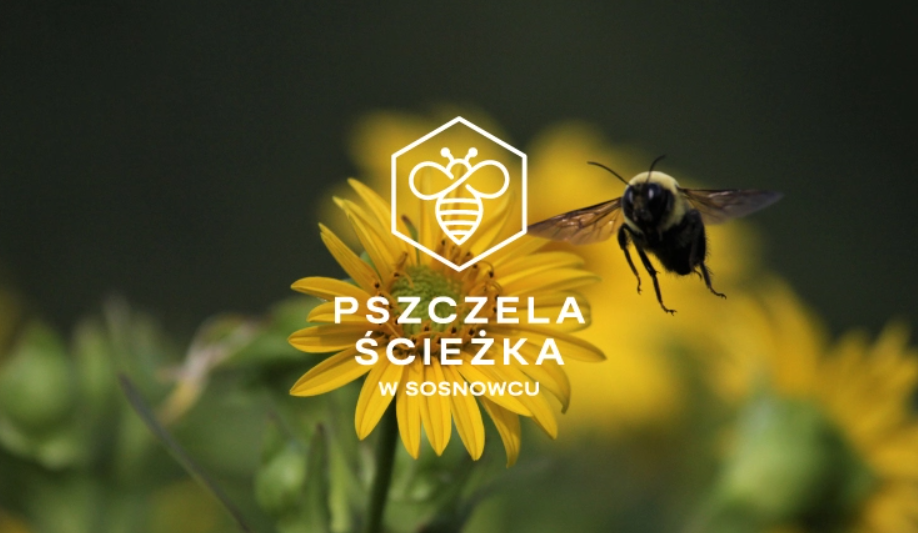 Światowy Dzień Pszczoły w Sosnowcu