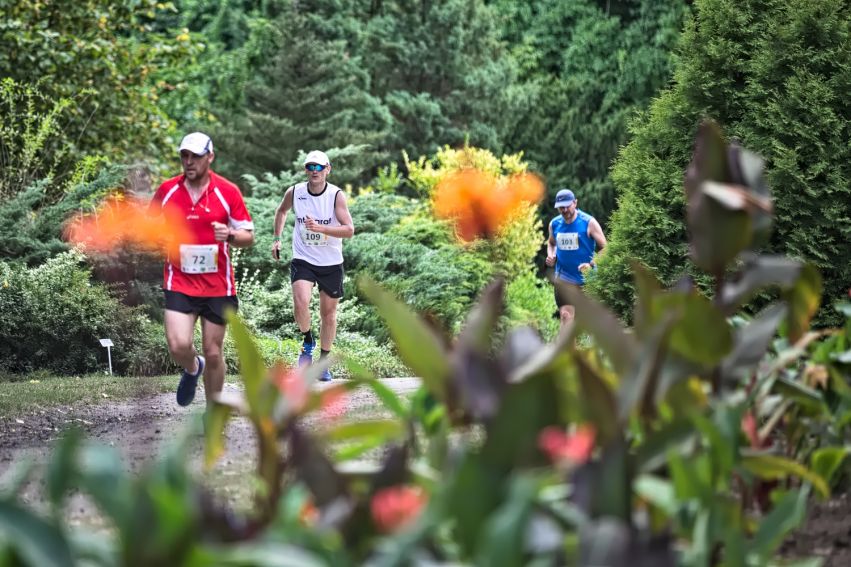 Wydarzenie sportowe w Mikołowie - Botaniczna Piątka edycja wiosenna