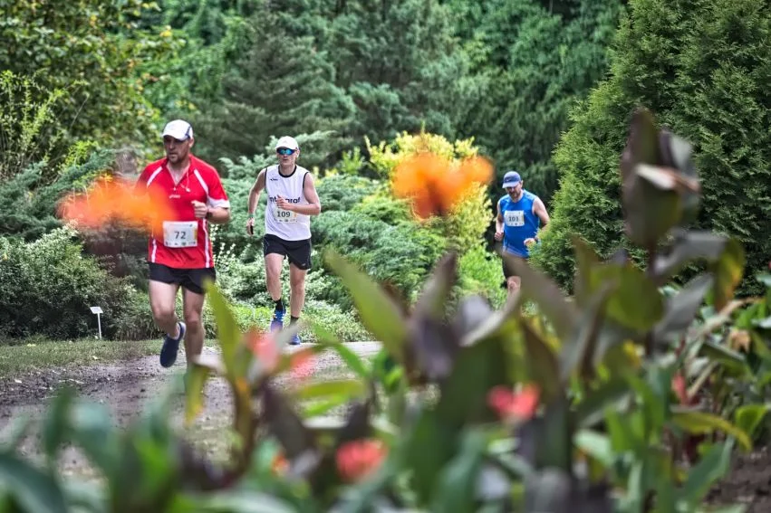 Wydarzenie sportowe w Mikołowie - Botaniczna Piątka edycja wiosenna
