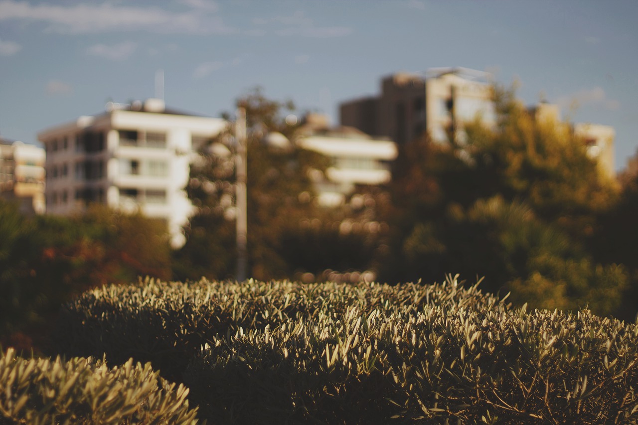 Zielone przystanki dla Katowic! Ogłoszono przetarg