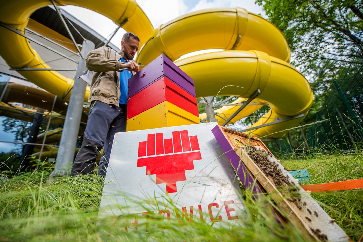 Katowice przygotowały ule dla 240 tys. pszczół