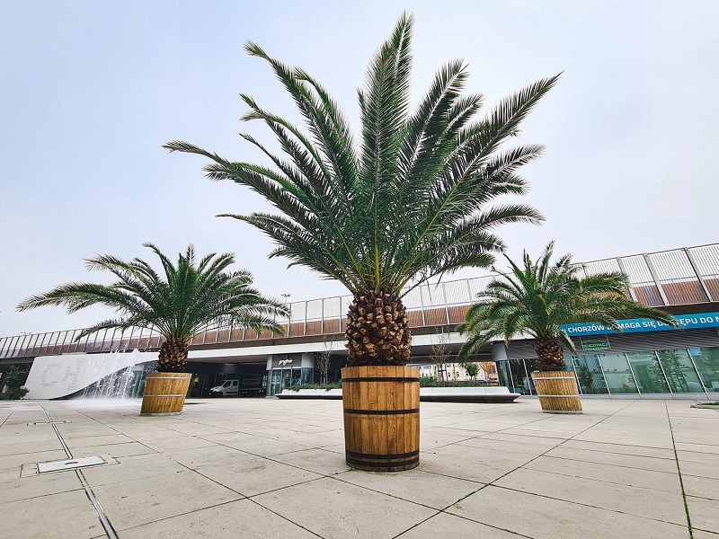 Hilda, Truda i Bercik wracają na chorzowski rynek!