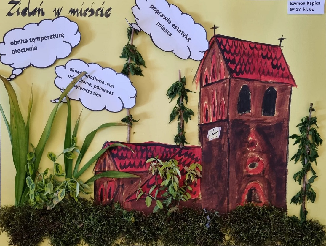 Czy zieleń w mieście jest potrzebna? Uczniowie wyjaśniają!