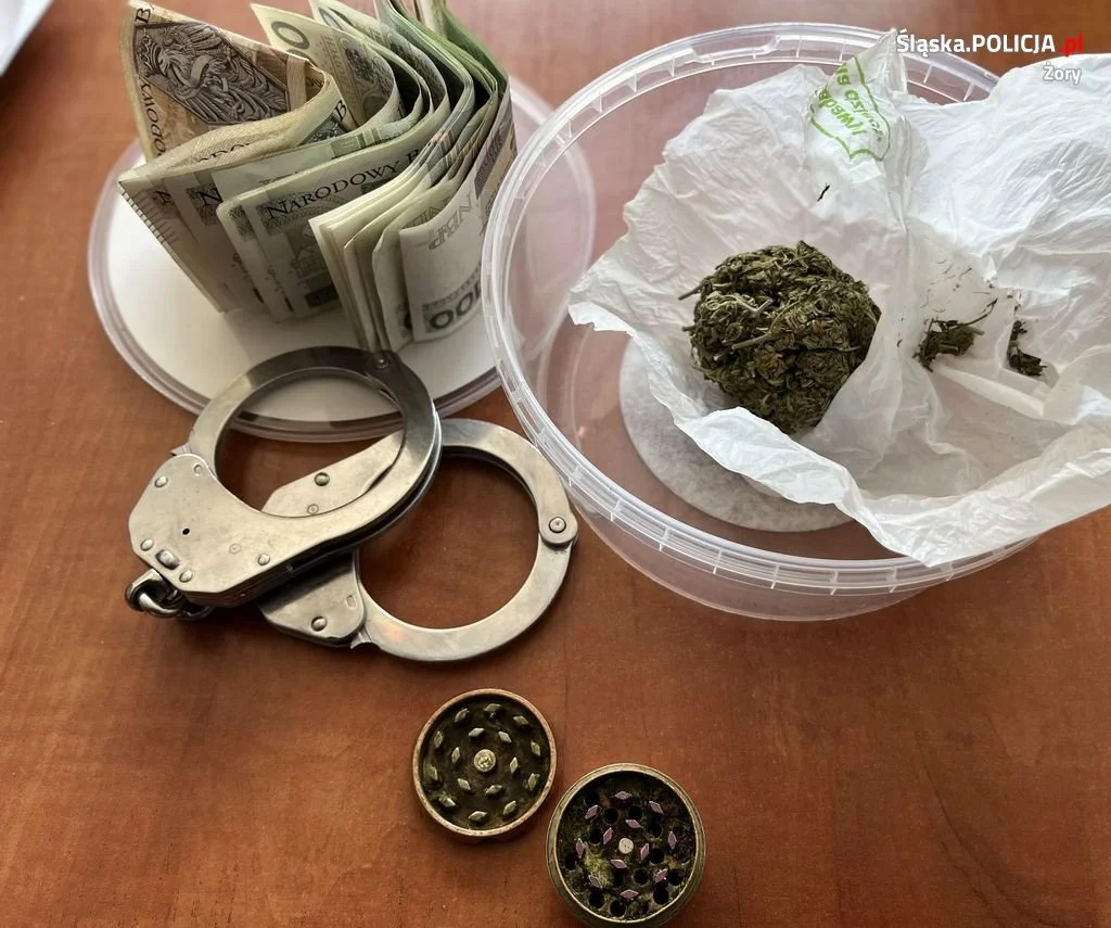 Odpowiedzą za przywóz i posiadanie środków odurzających