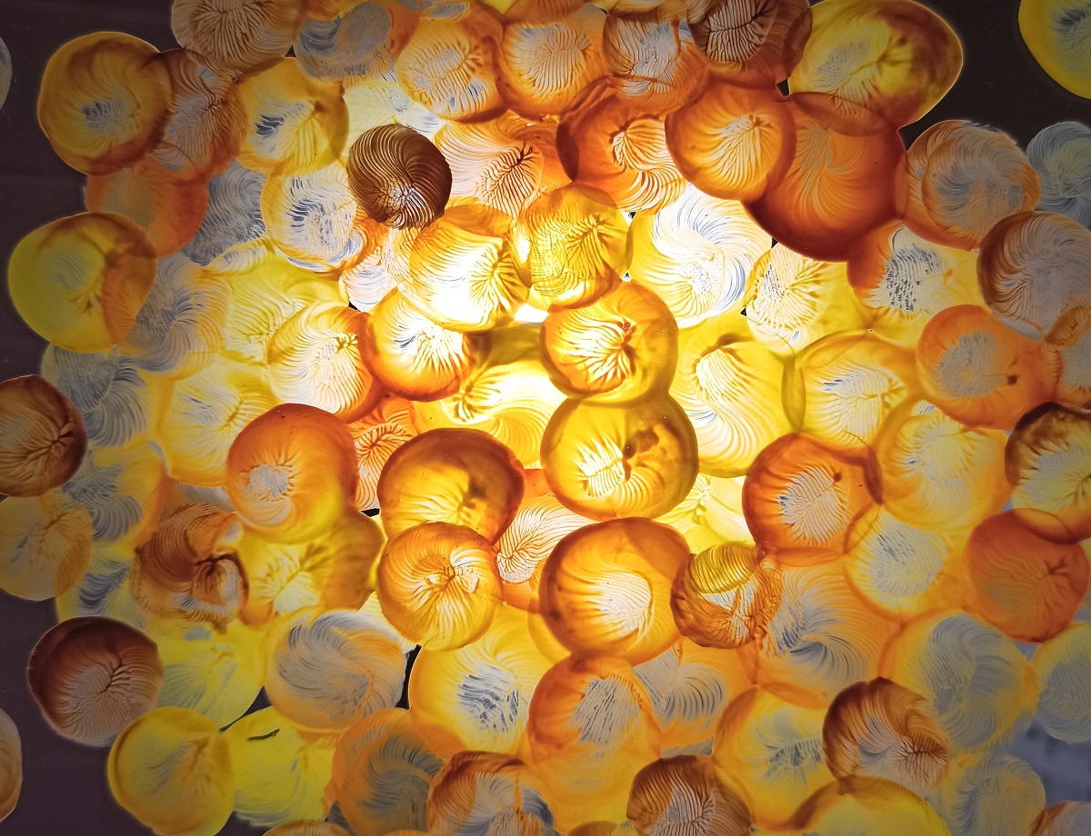 Wystawa "Czułek wstydliwy"