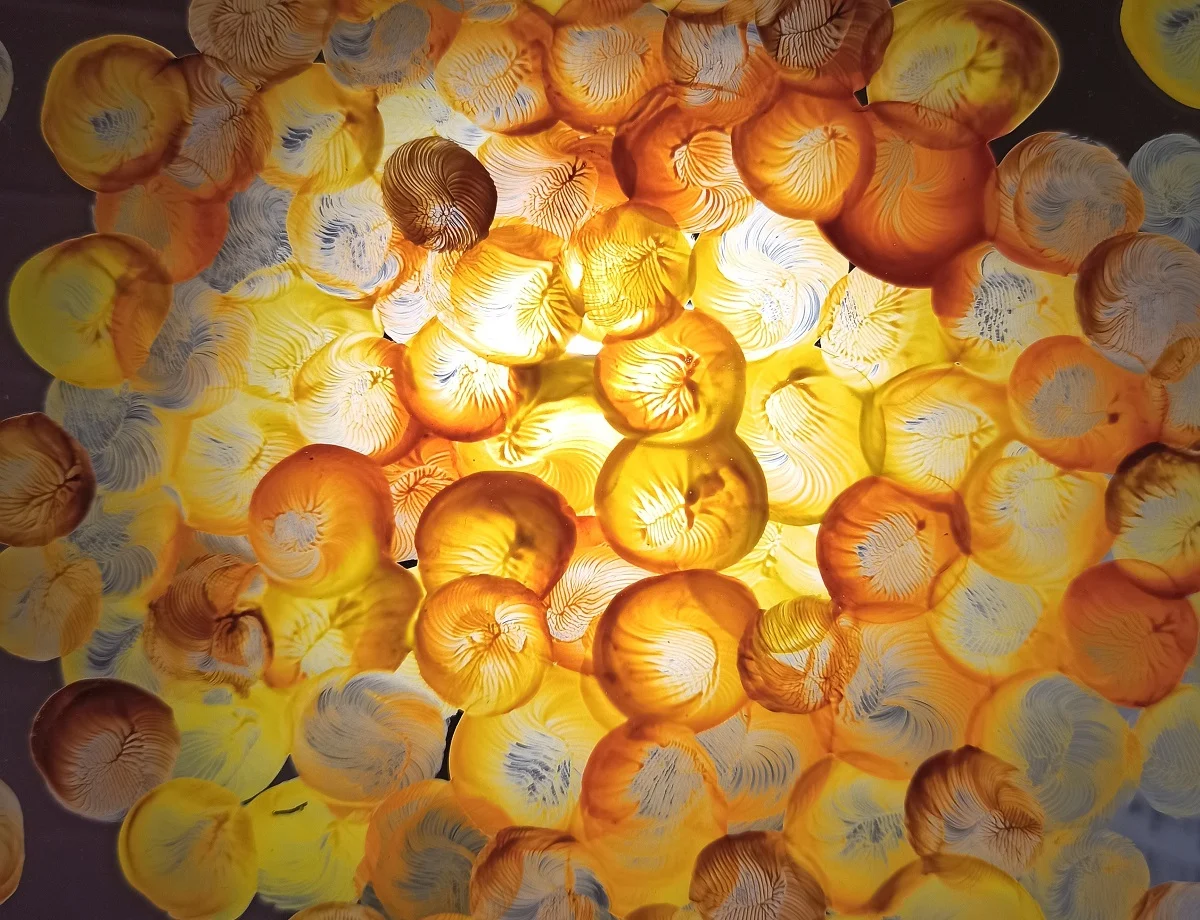 Wystawa "Czułek wstydliwy"