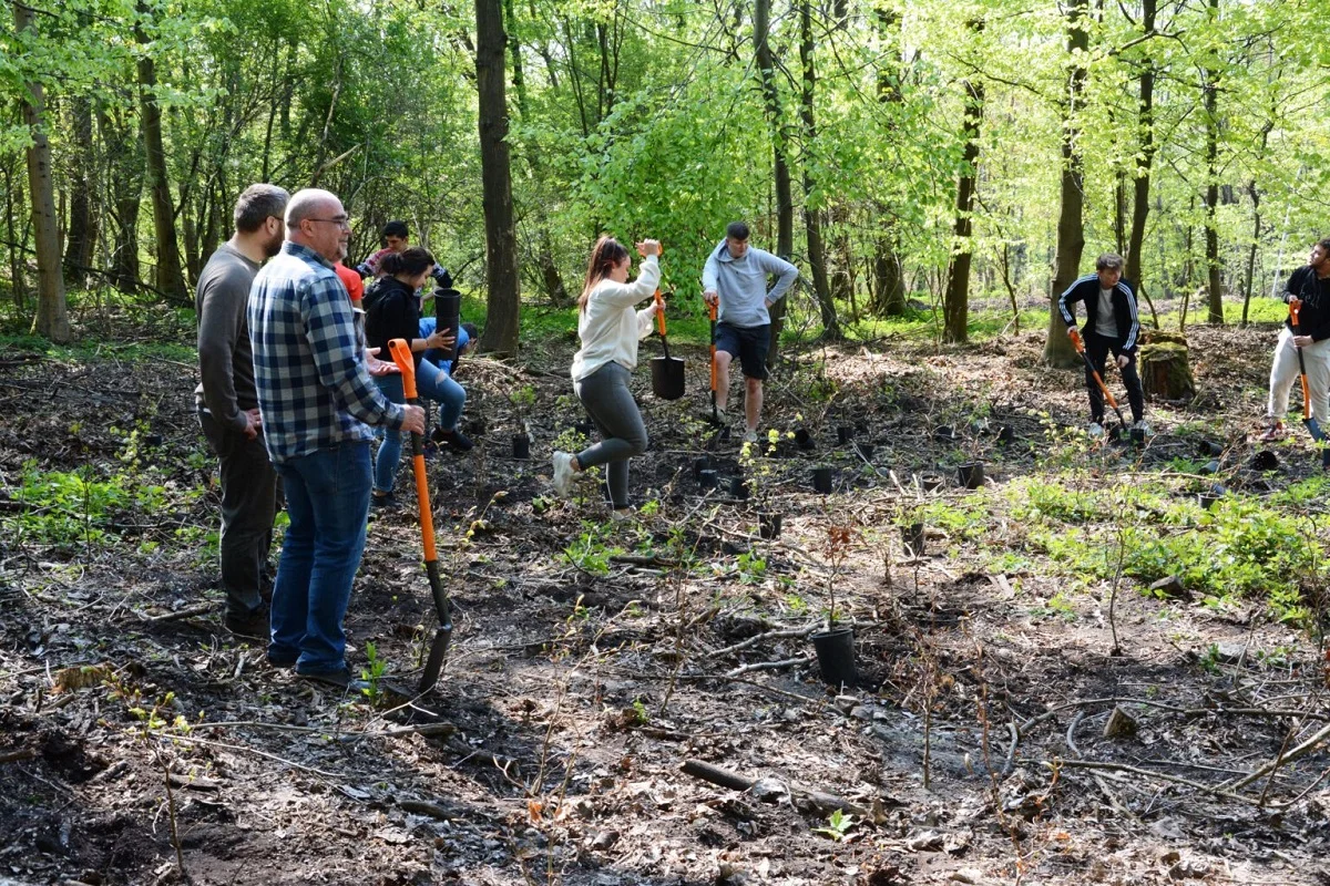 Kolejne nasadzenia w ramach akcji "100 drzew na 100-lecie Miasta"