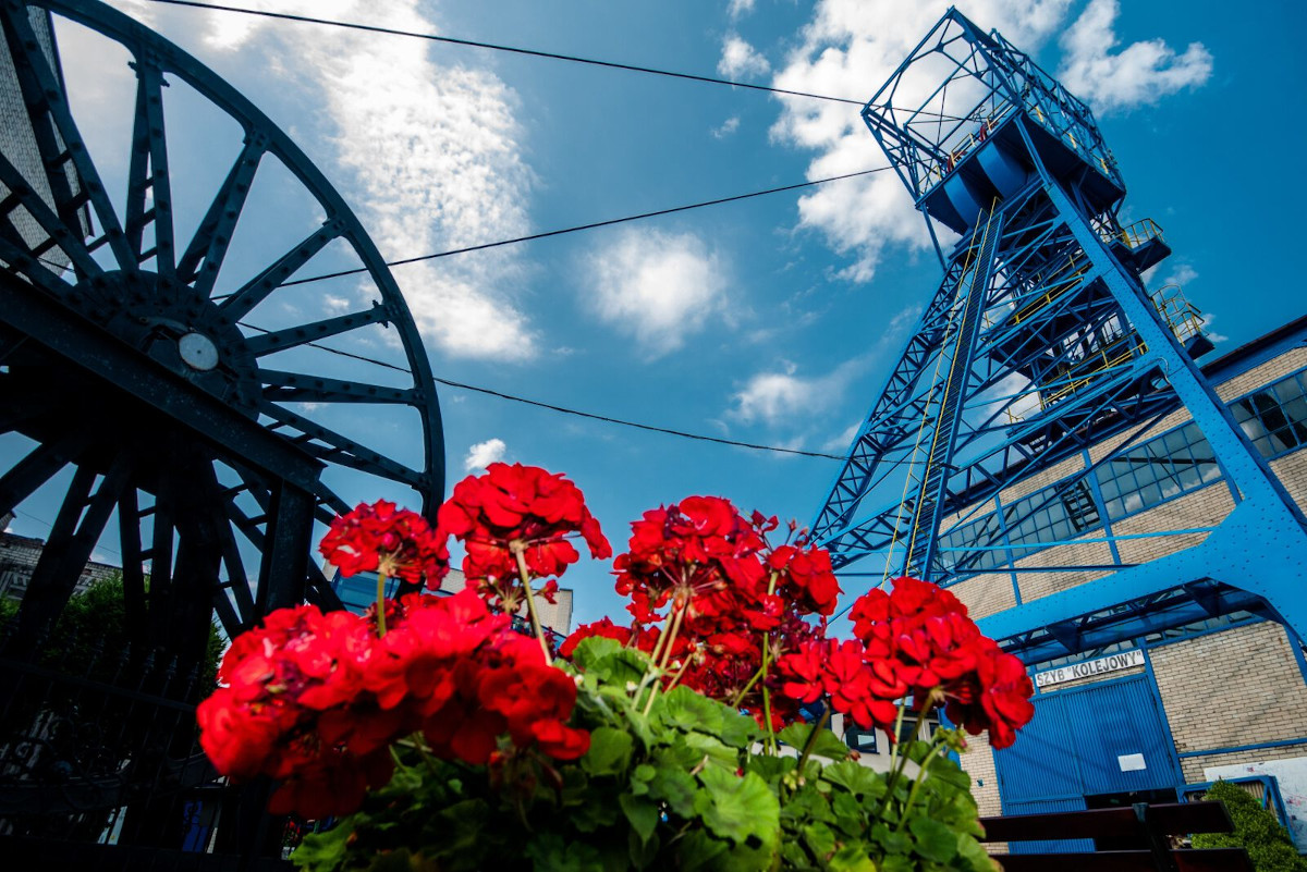 To będzie wyjątkowa noc! Noc Muzeów 2022