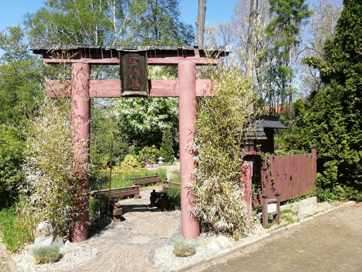 Rozćwierkana wiosna w Miejskim Ogrodzie Botanicznym
