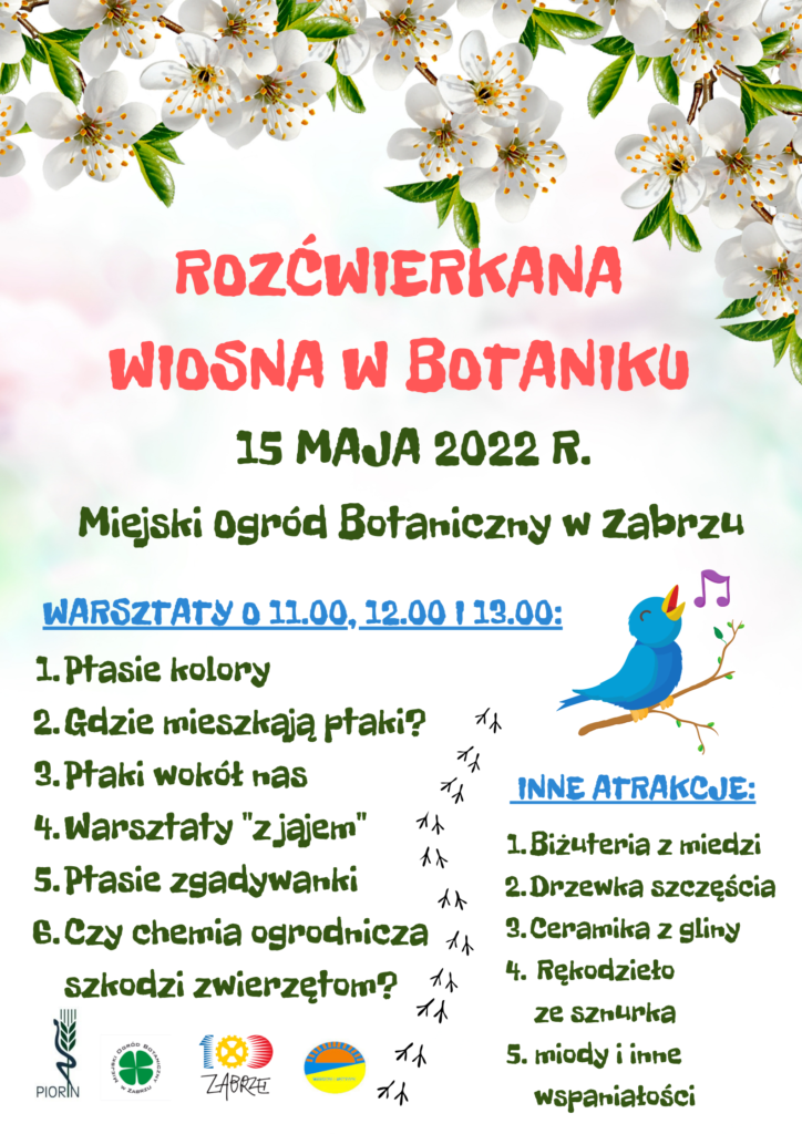 Rozćwierkana wiosna w Miejskim Ogrodzie Botanicznym