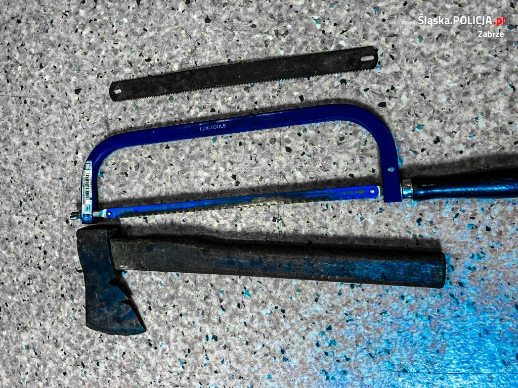 Złodziej ogrodzenia przyłapany na gorącym uczynku!