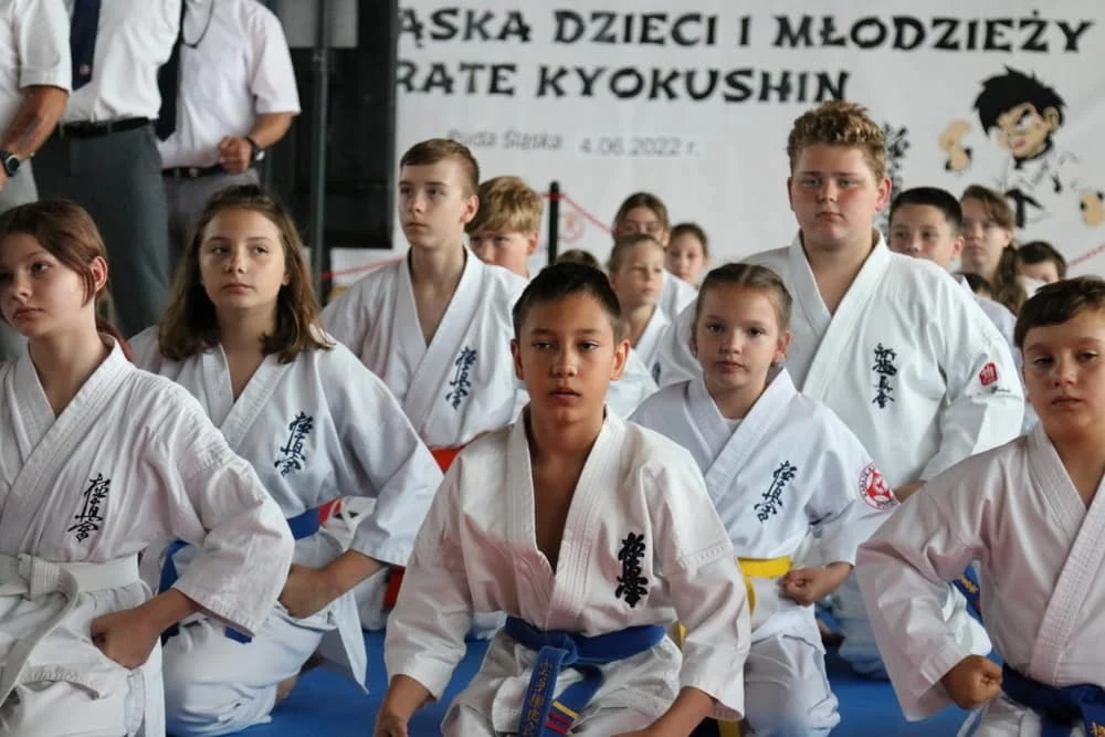 Karatecy spróbowali swoich sił w Halembie 1