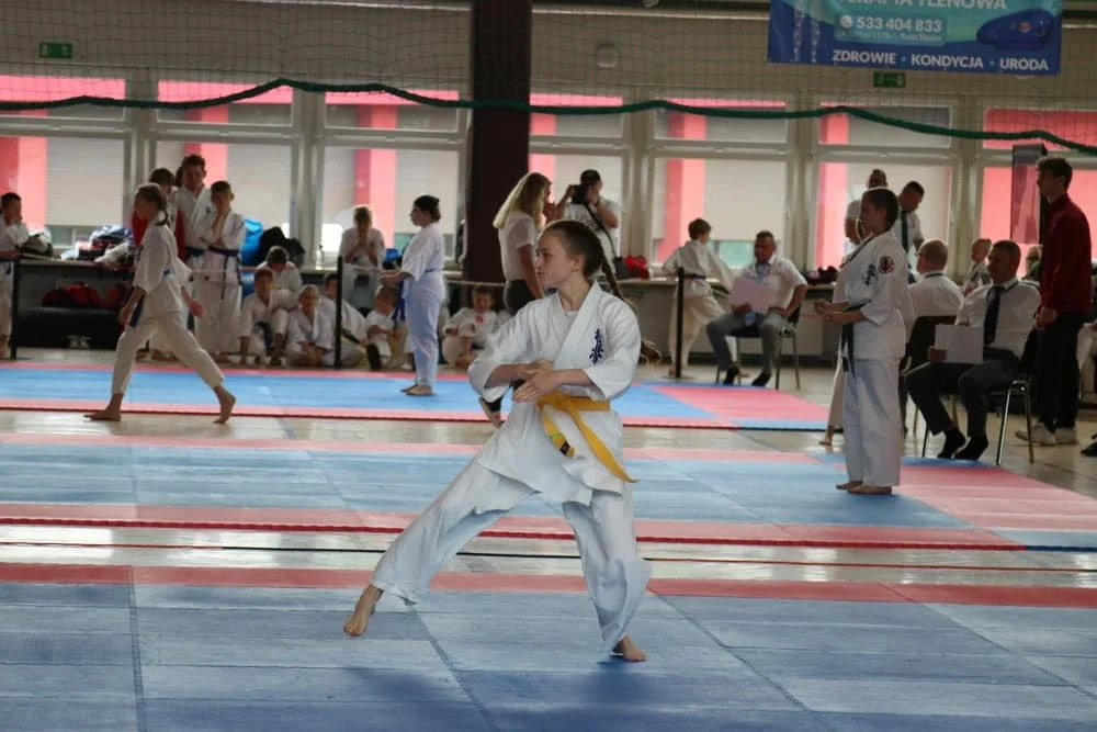 Karatecy spróbowali swoich sił w Halembie 14