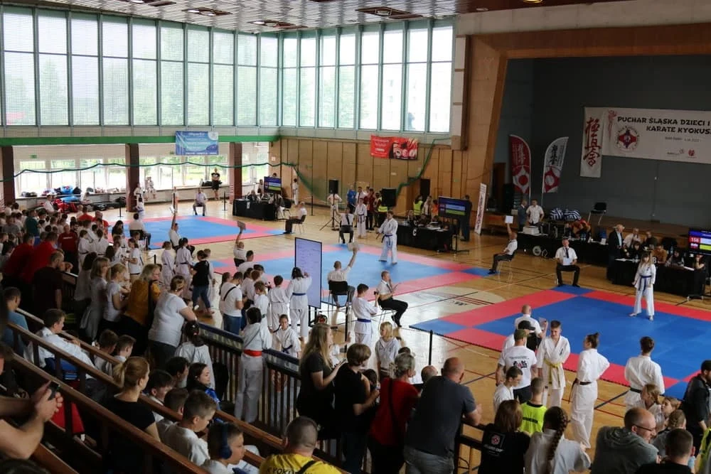 Karatecy spróbowali swoich sił w Halembie 15