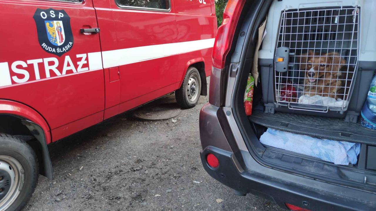 Strażacy z OSP świętowali Dzień Dziecka! / fot. OSP Ruda Śląska 21