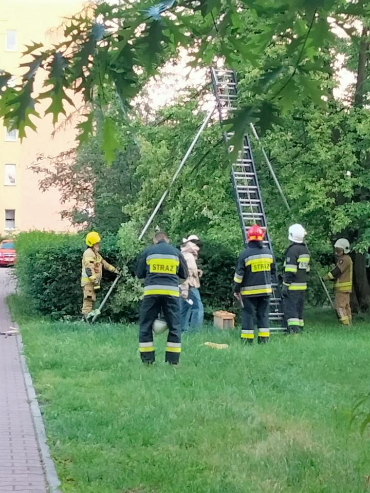 Strażacy z OSP świętowali Dzień Dziecka! / fot. OSP Ruda Śląska 43