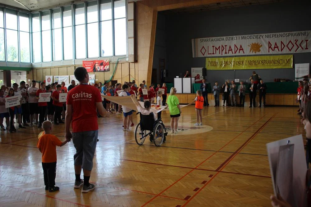 zdjęcie 12