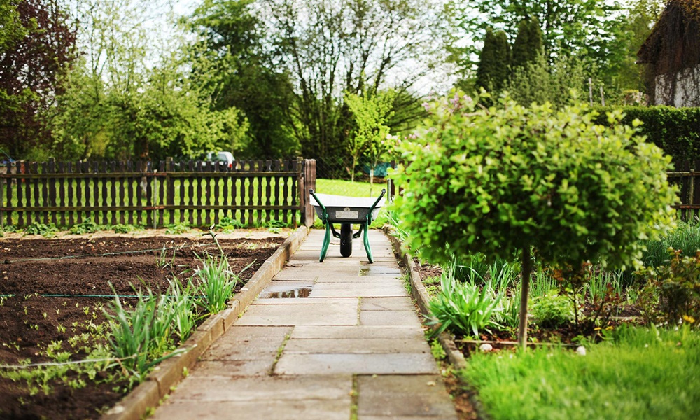 Rozwój ogrodnictwa rodzinnego. Czekają pieniądze dla działkowców