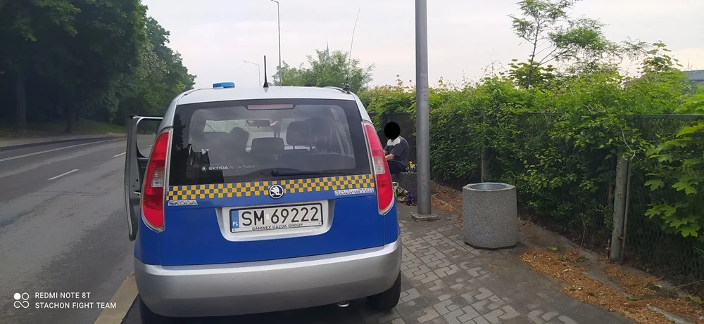 Kradzież kwiatów z miejskich klombów
