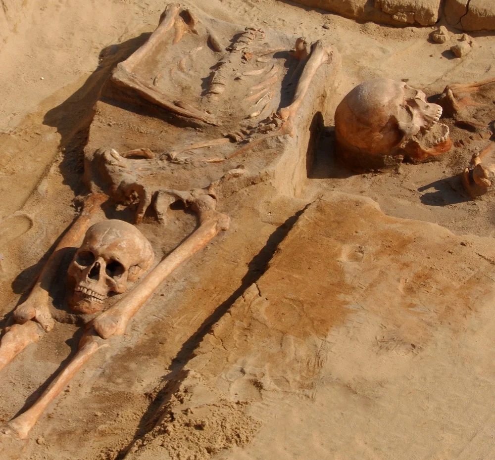 Dentyści z Katowic przebadają średniowieczne "wampiry" z Gliwic