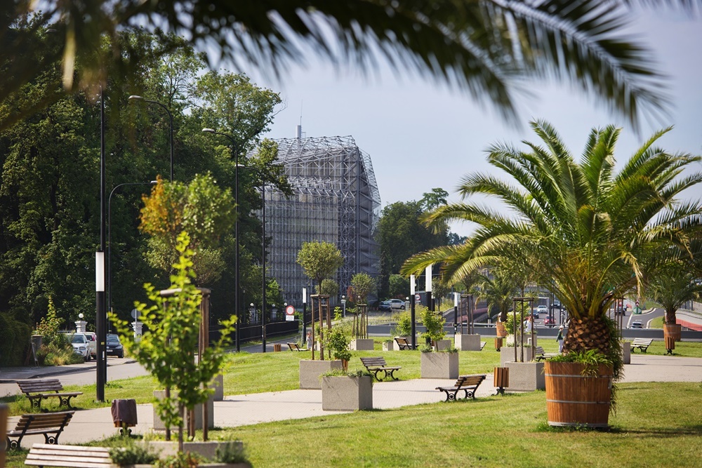 Ostatni moment na odwiedzenie Palmiarni! Rozpocznie się remont