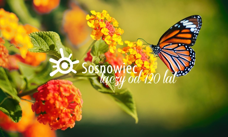 Czerwcowy "rozkład jazdy", czyli co dzieje się w Sosnowcu!