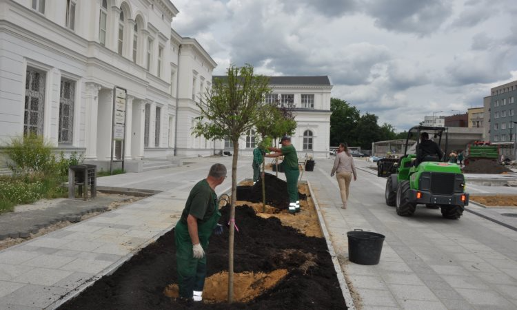 Zazieleniło się przed dworcem
