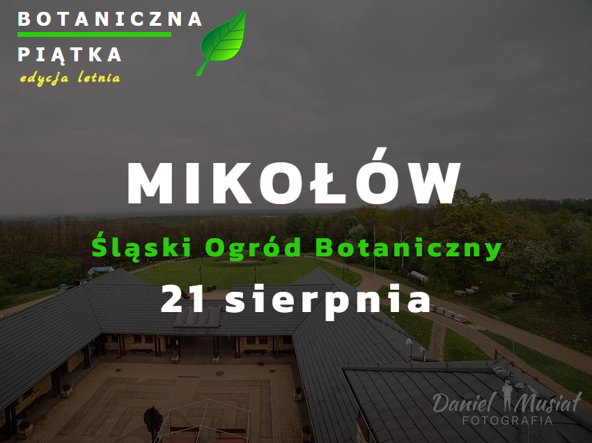 Botaniczna Piątka Mikołów – edycja letnia już w sierpniu!