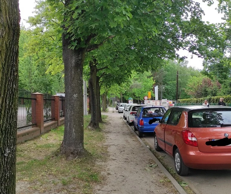 "Tu naprawdę dojdzie do tragedii". Samochodowa samowolka w Parku Zadole