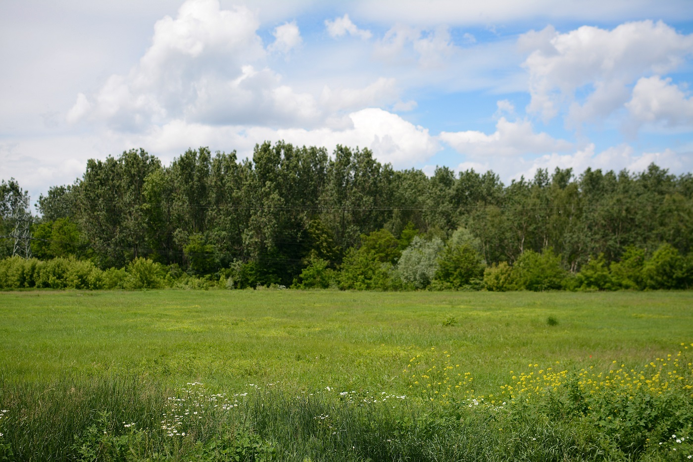 MPGK Katowice będzie miało elektrownię słoneczną!