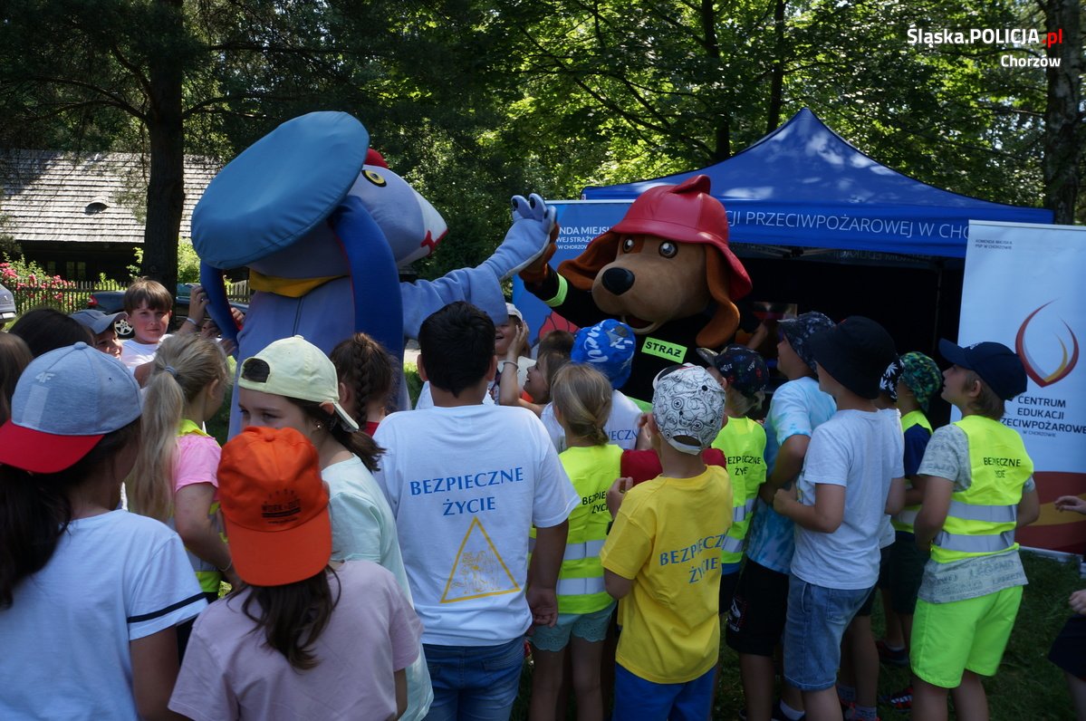 Finał programu "Bezpieczne Życie"