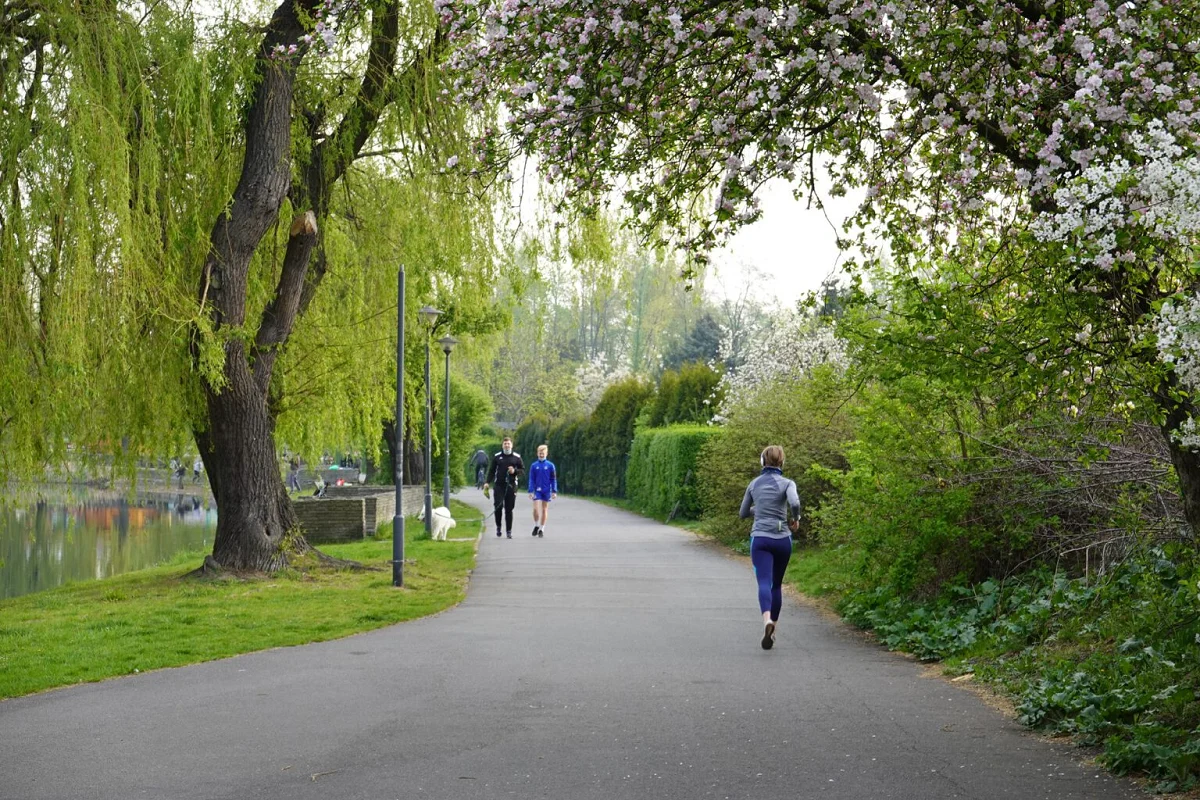 Świętochłowice w wyzwaniu Healthy Cities