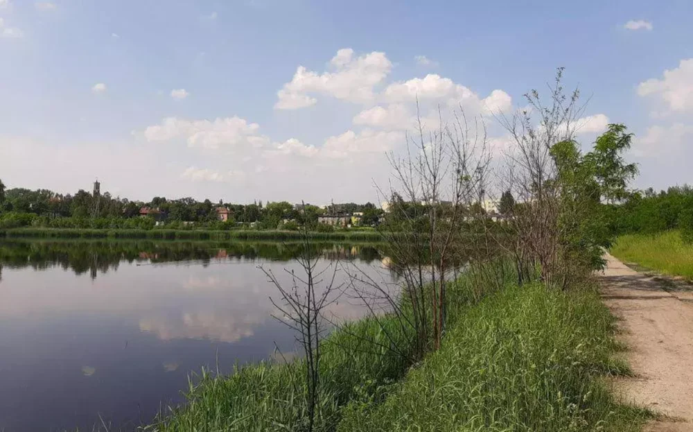 Postępy prac nad Stawem Kalina. Bomba ekologiczna niknie w oczach