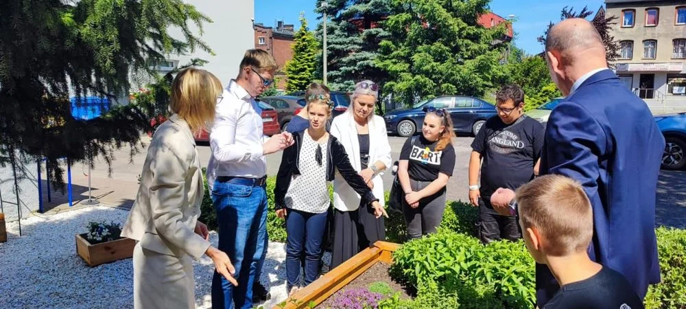 W Szkole Podstawowej nr 10 otwarto miniogród „Zielona kraina spokoju”