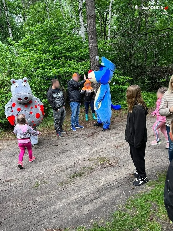 Rodzinnym piknikiem uczcili Dzień Rodzicielstwa Zastępczego / fot. UM Żory 11