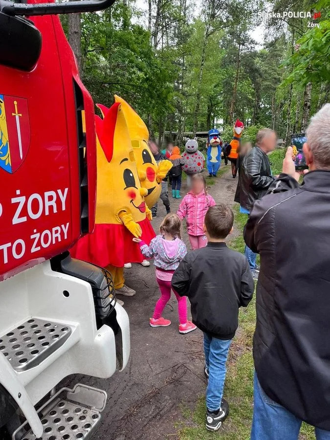 Rodzinnym piknikiem uczcili Dzień Rodzicielstwa Zastępczego / fot. UM Żory 13