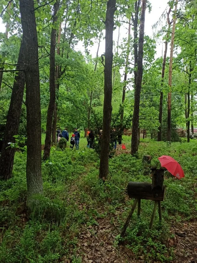 Rodzinnym piknikiem uczcili Dzień Rodzicielstwa Zastępczego / fot. UM Żory 15