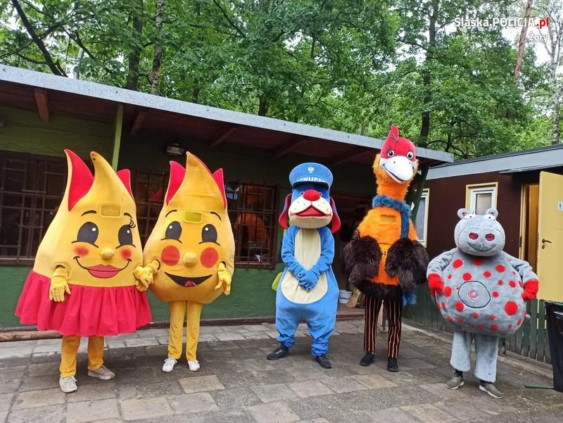 Rodzinnym piknikiem uczcili Dzień Rodzicielstwa Zastępczego [ZDJĘCIA]